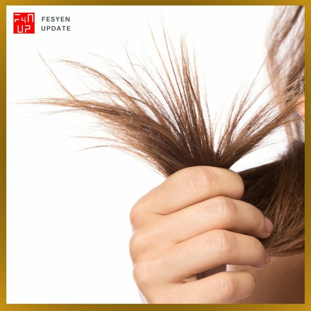 Imej minyak kelapa untuk rambut Mengatasi Ujung Rambut Bercabang